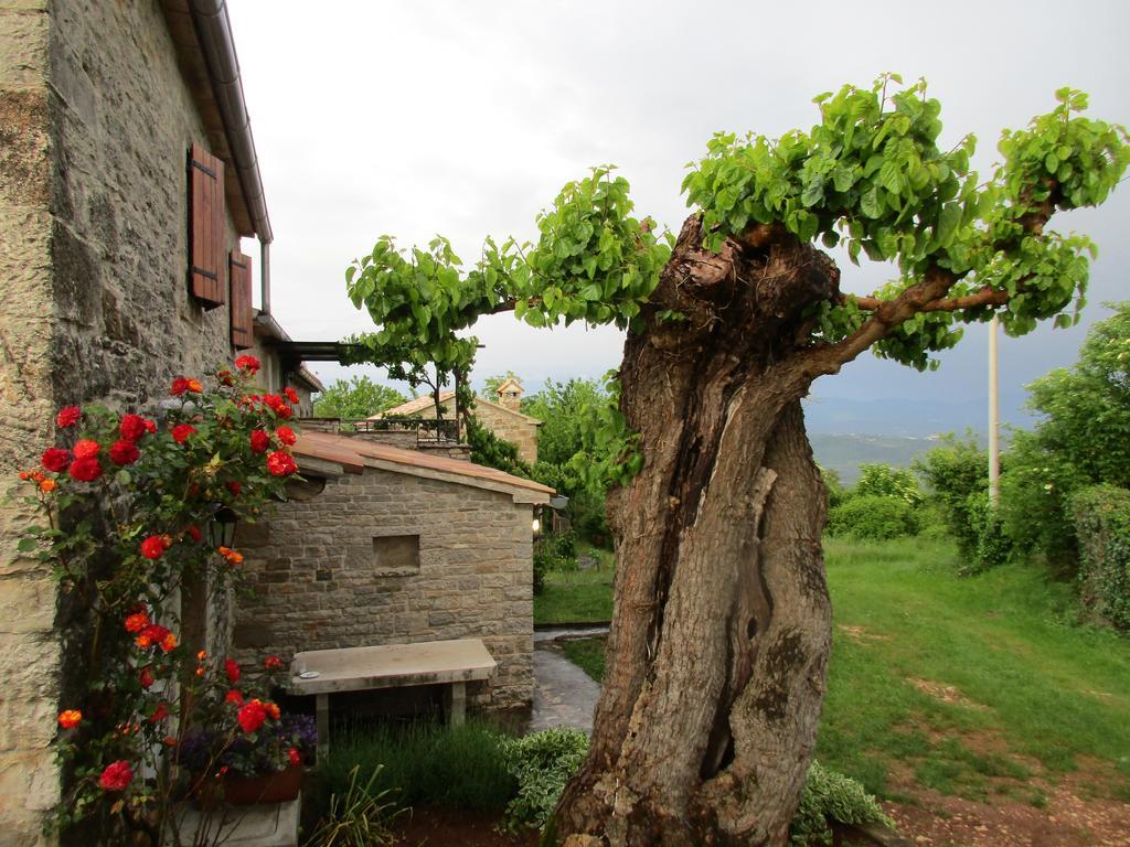 Villa Agroturizam Nezic Oprtalj Exterior foto
